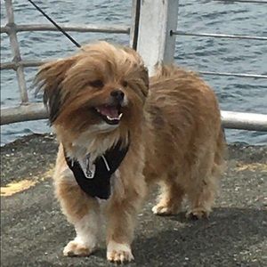 Meet your Posher, Cheryl